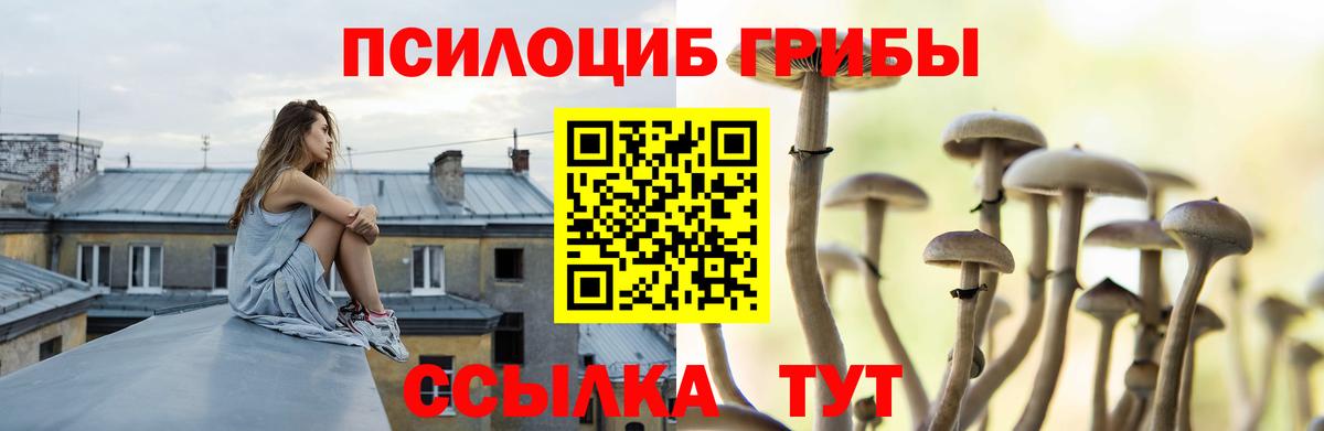 Сарапул  Галлюциногенные грибы мухоморы  Вход с VPN 